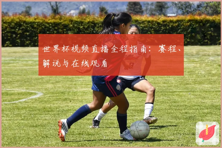 世界杯视频直播全程指南：赛程、解说与在线观看