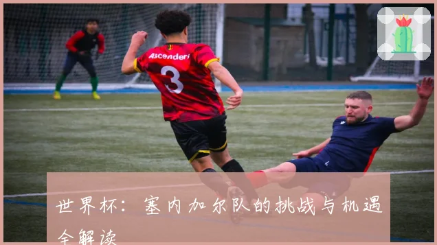 世界杯:塞内加尔队的挑战与机遇全解读