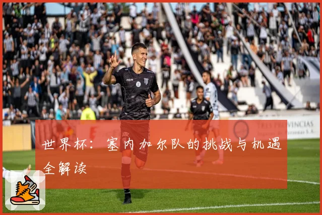世界杯：塞内加尔队的挑战与机遇全解读